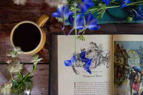 Open book with vintage illustration titled "Daisy and Demi" next to a cup of coffee and surrounded by vibrant blue flowers on a rustic wooden table.