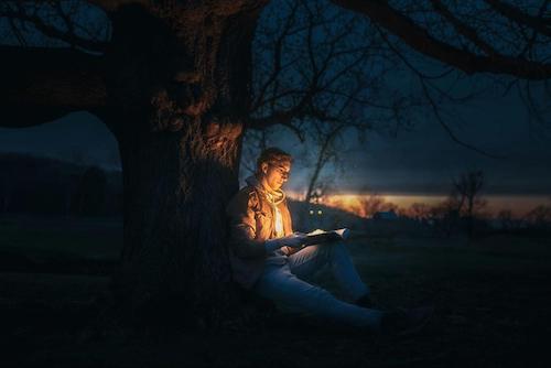 Person reading a glowing book under a tree at night, surrounded by a peaceful twilight landscape.