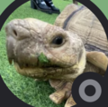L’Todo